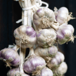 curing garlic without garlic curing problems