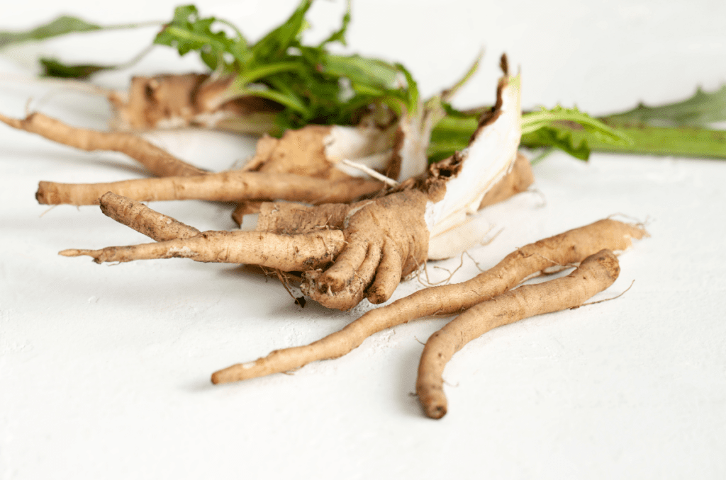 foraging in the winter