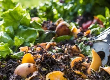 zero waste kitchen garden food scraps
