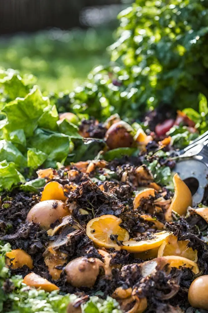 zero waste kitchen garden food scraps