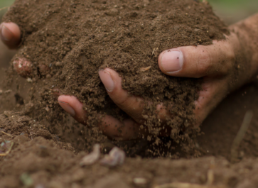 how to prep garden soil for spring