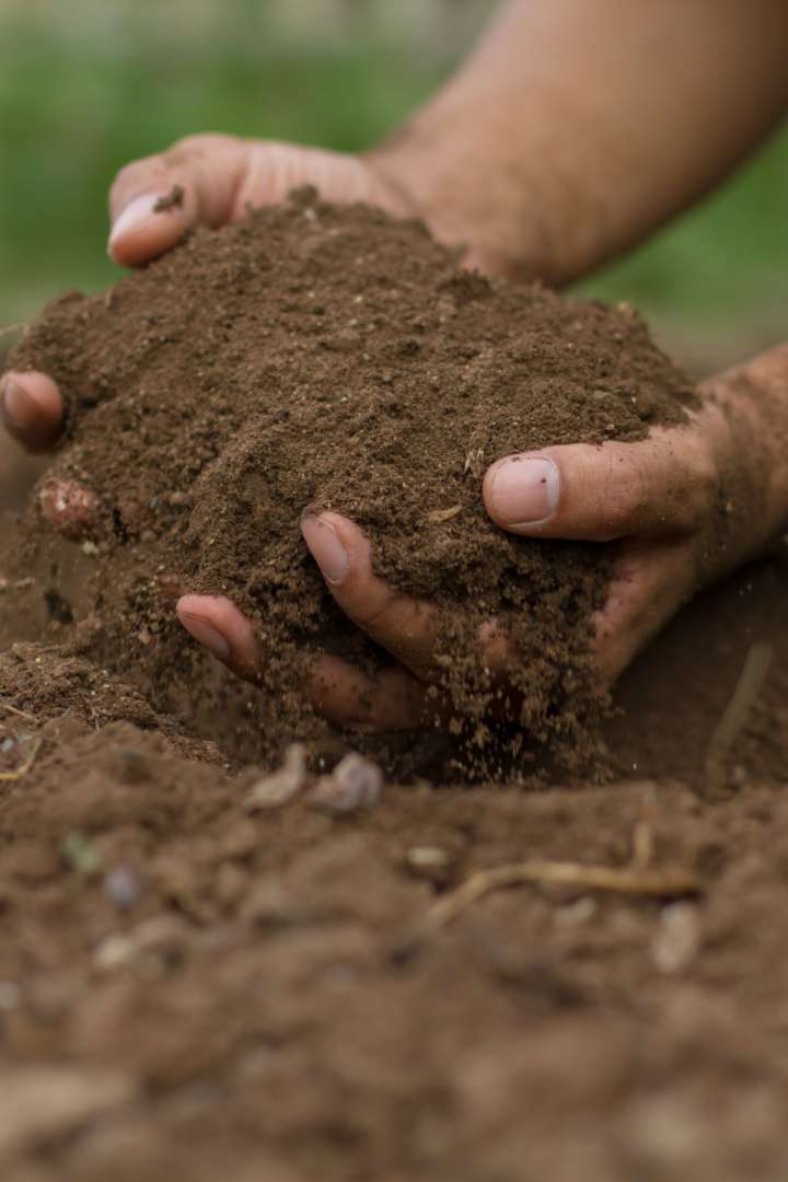 how to prep garden soil for spring