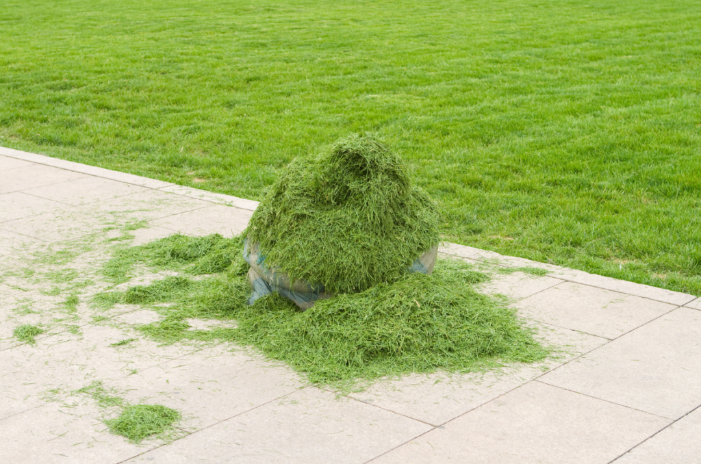 grass clippings collected for a garden mulch