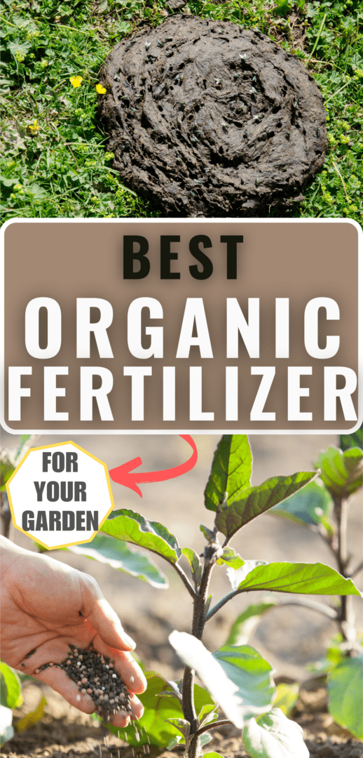 organic fertilizer Pinterest pin