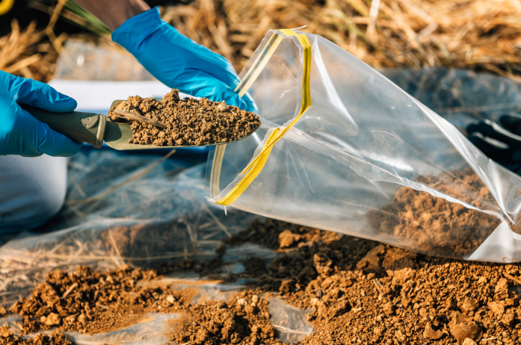 soil test for plant micronutrients
