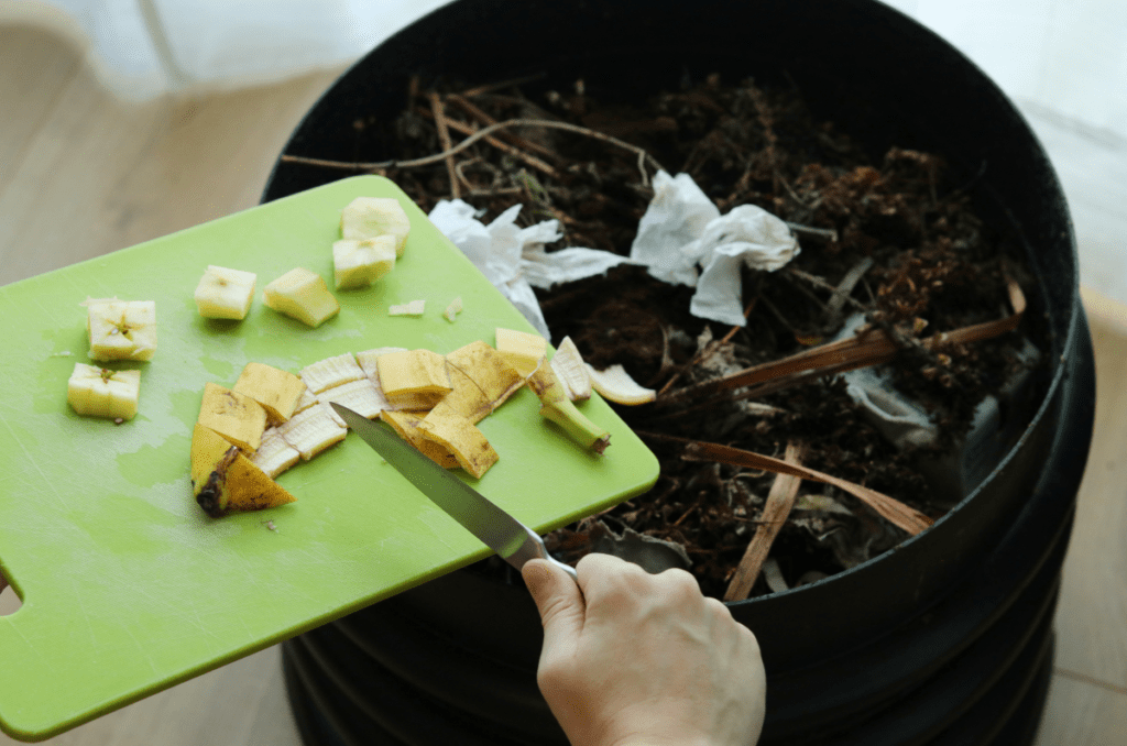 vermicompost bin for garden plants