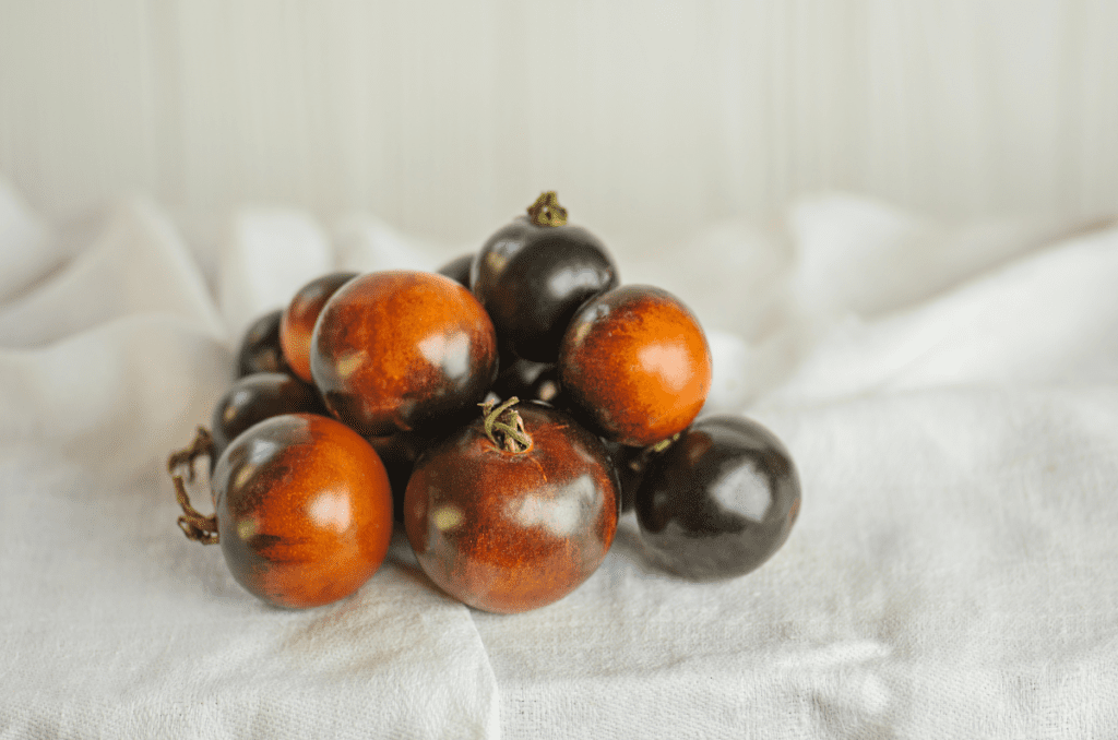 ripe indigo rose tomatoes