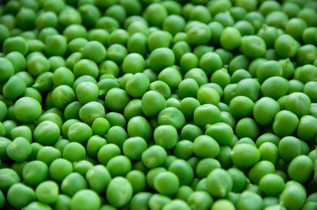 how to grow peas