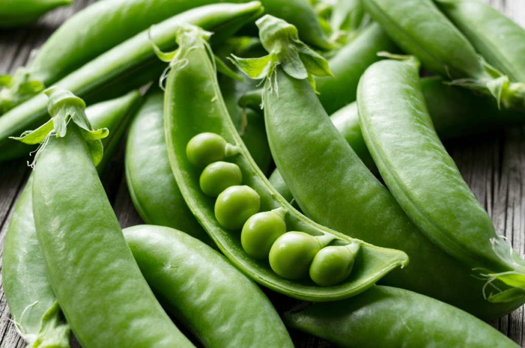 sugar daddy snap pea variety