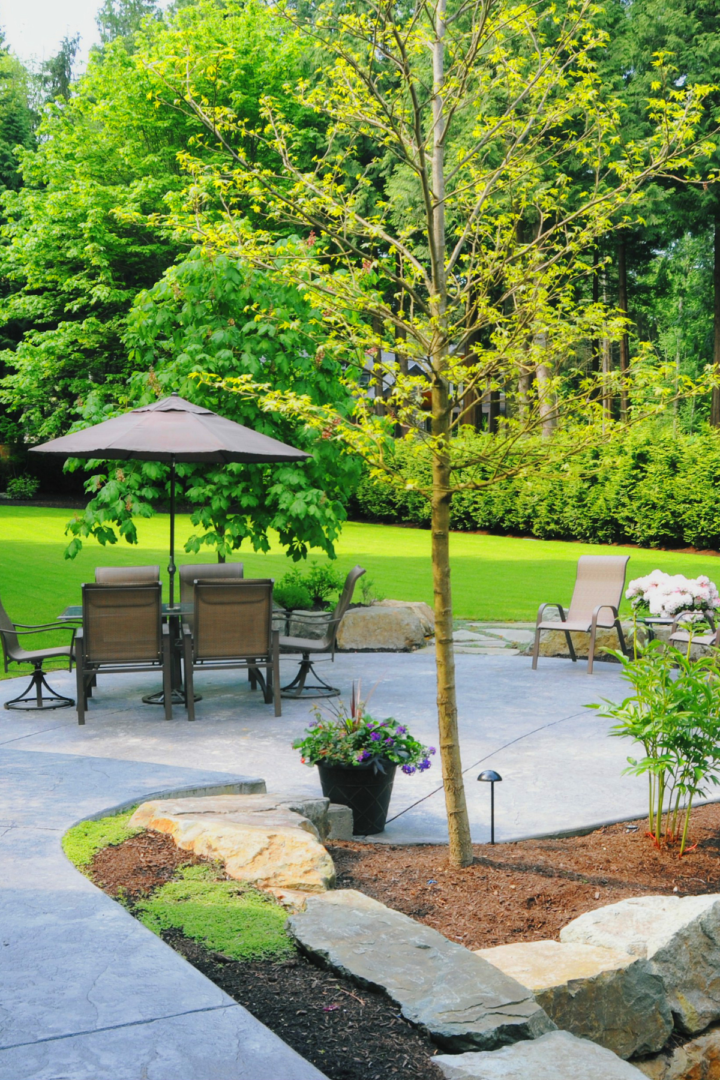 landscaping ideas around tree roots