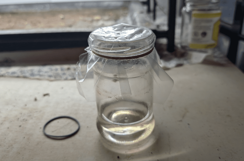 best diy fruit fly trap