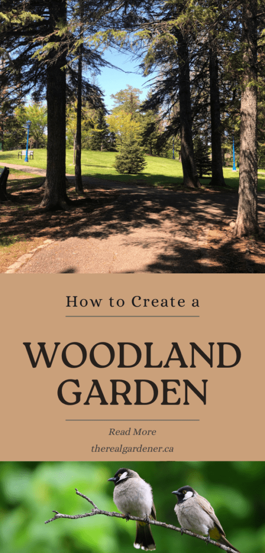 create a woodland garden Pinterest pin