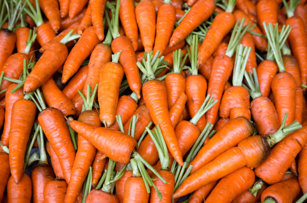 carrot fast growing vegetables