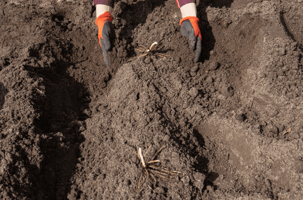 digging the right hole to bury food scraps