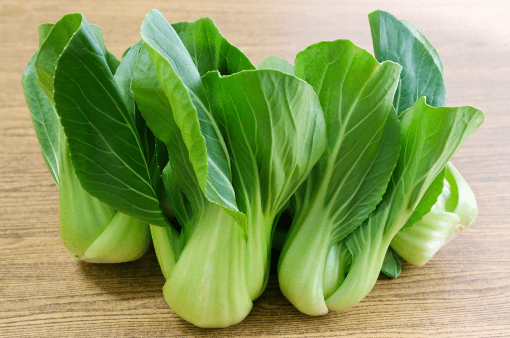 bok choy fast growing vegetables