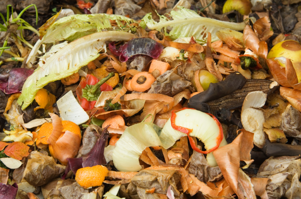 choosing the right food scraps