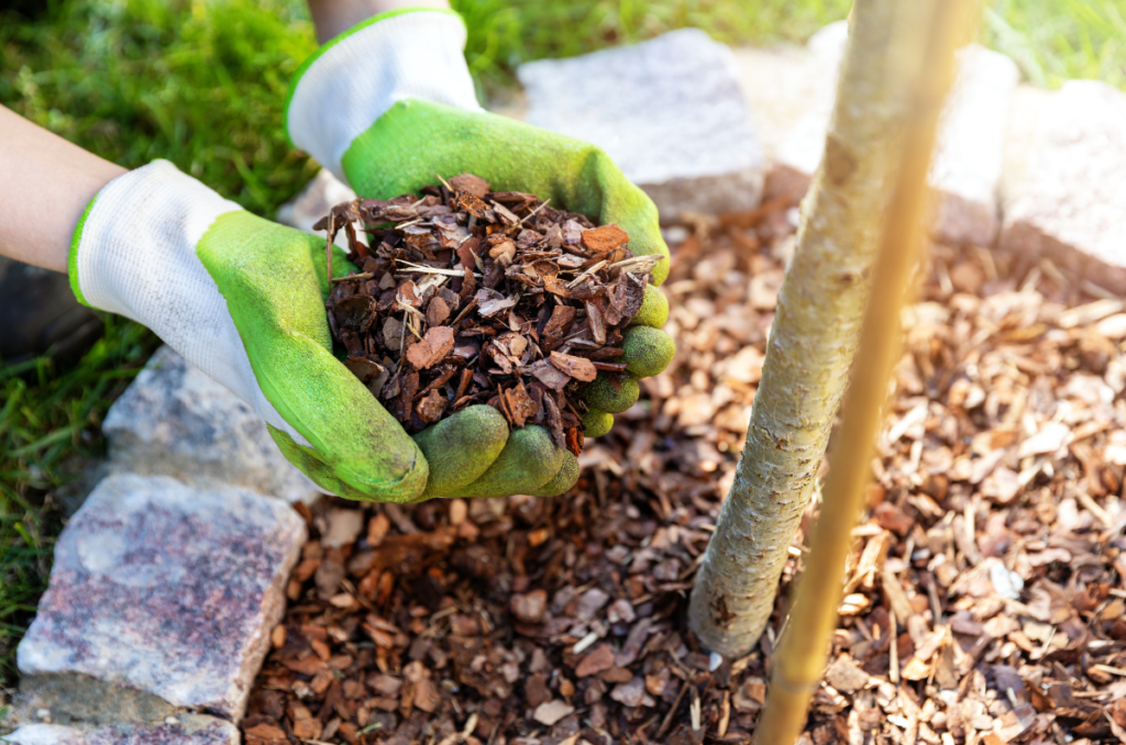 woodchips mulch helps with garden watering