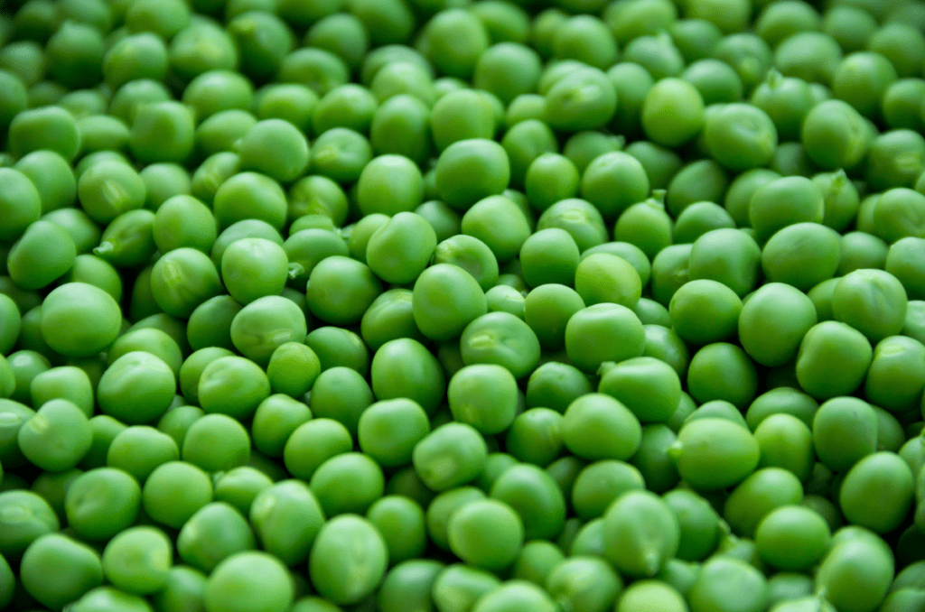 peas fast growing vegetables