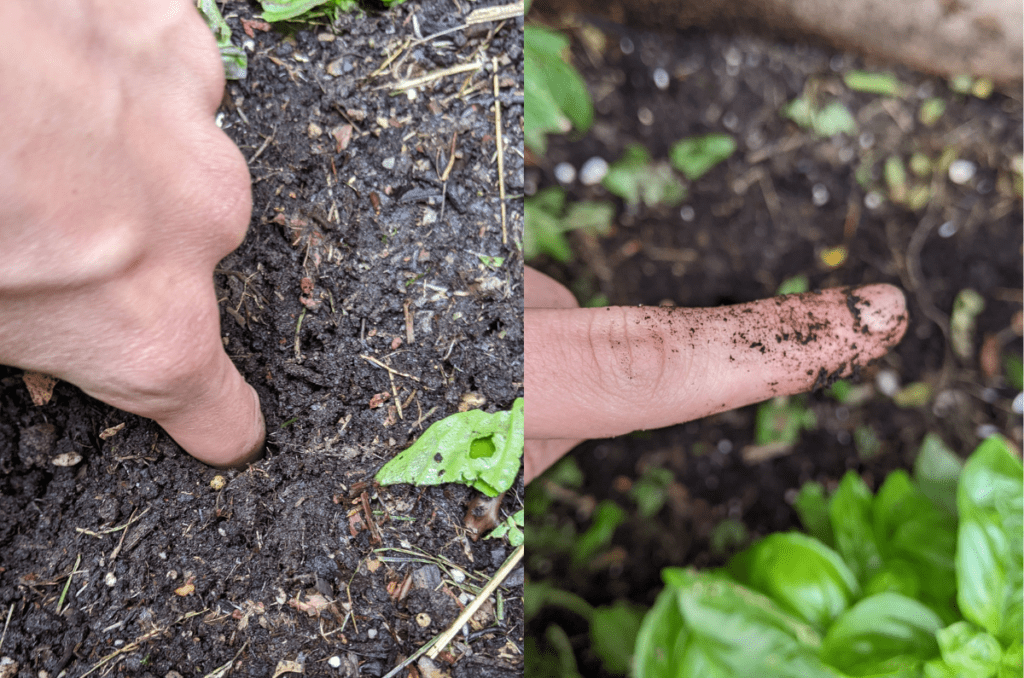 garden watering knuckle trick