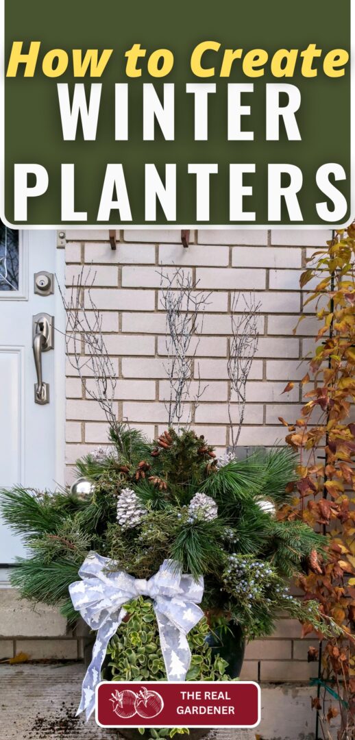 how to create winter planters