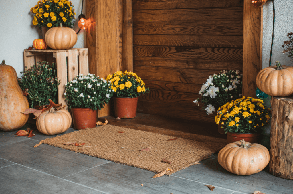 how to arrange a winter porch planter