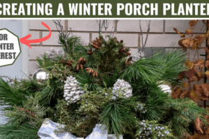 creating winter porch planters for winter interest