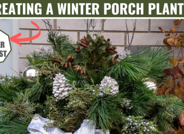 creating winter porch planters for winter interest