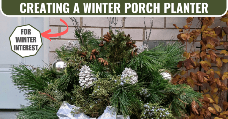 creating winter porch planters for winter interest