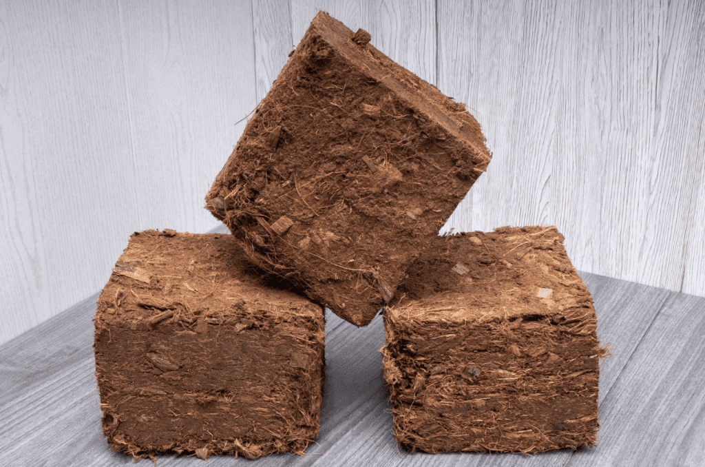 pressed coco coir bricks from Burpee gardening