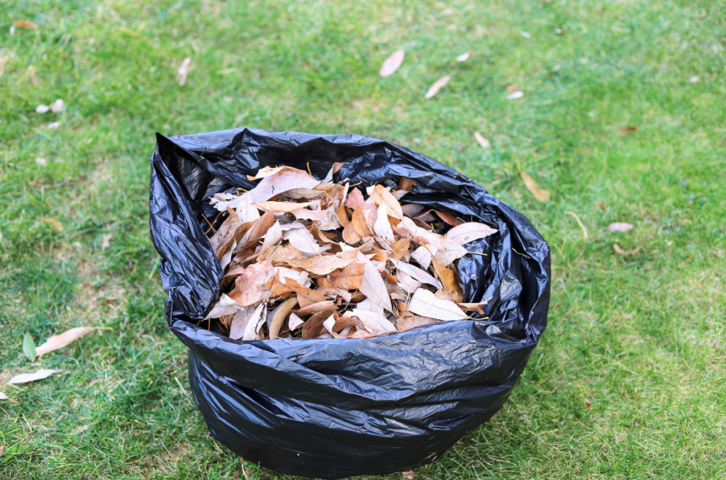 leaves in a black plastic garbage bag