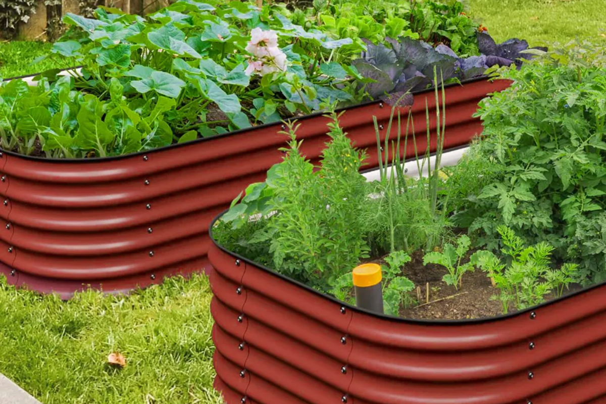 raised bed gardening