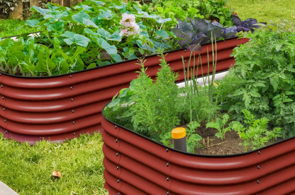 Burpee Gardening galvanized raised garden beds