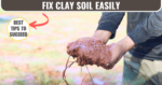 amending clay soil