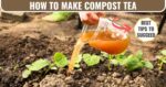 how to make compost tea