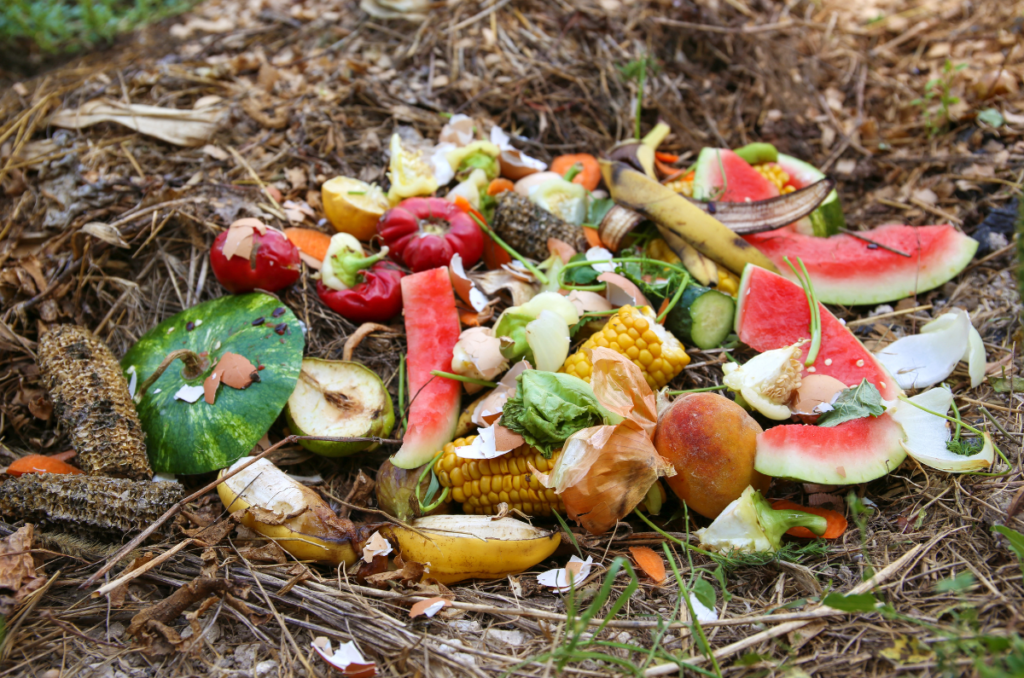 food scraps for trench composting