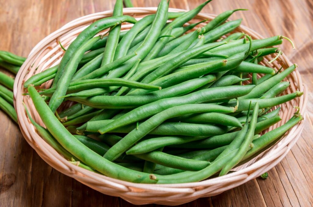 freshly harvested green beans in a basket