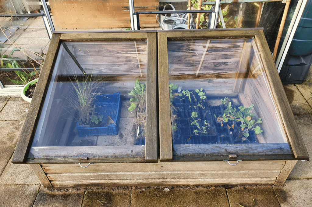 cold frame used to protect plants from freezing temperatures