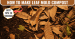 how to make leaf mold compost