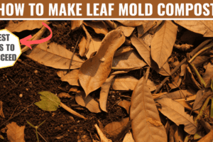 how to make leaf mold compost