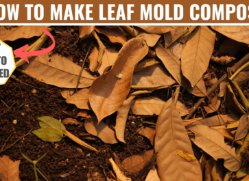 how to make leaf mold compost