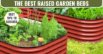 best raised garden beds