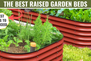 best raised garden beds