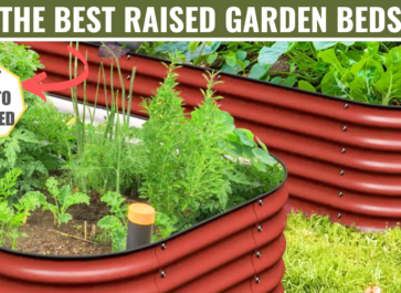 best raised garden beds