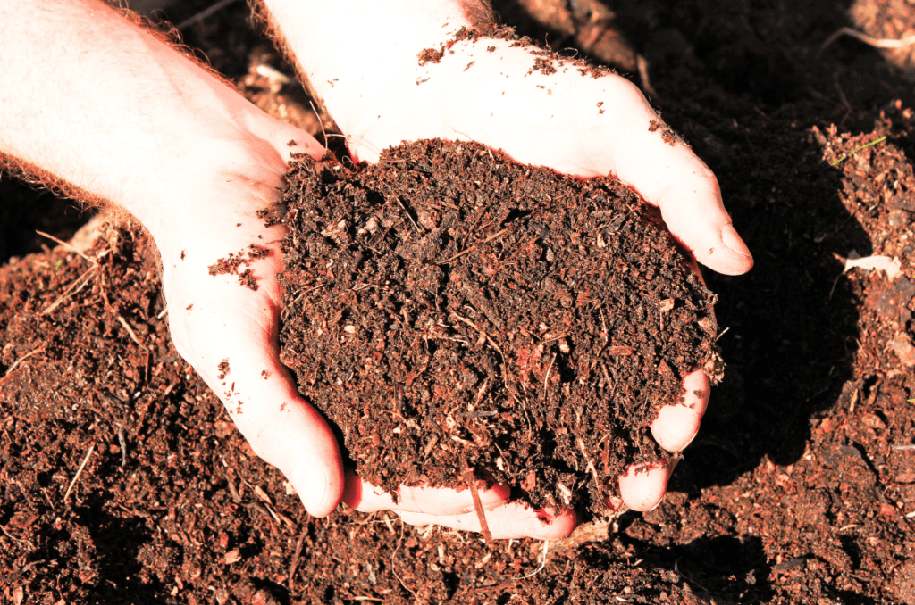 fine leaf mold compost