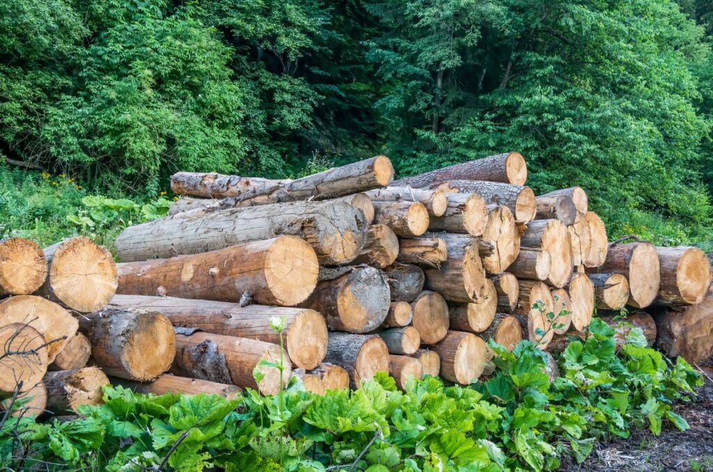 large wood logs used to make a hugelkultur raised bed