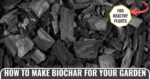 how to make biochar for your garden