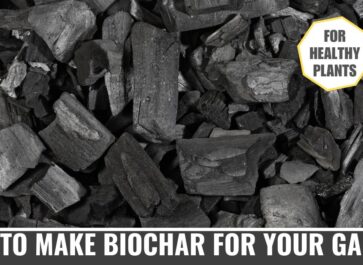 how to make biochar for your garden