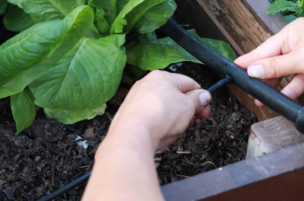 drip irrigation kit from bootstrap farmer