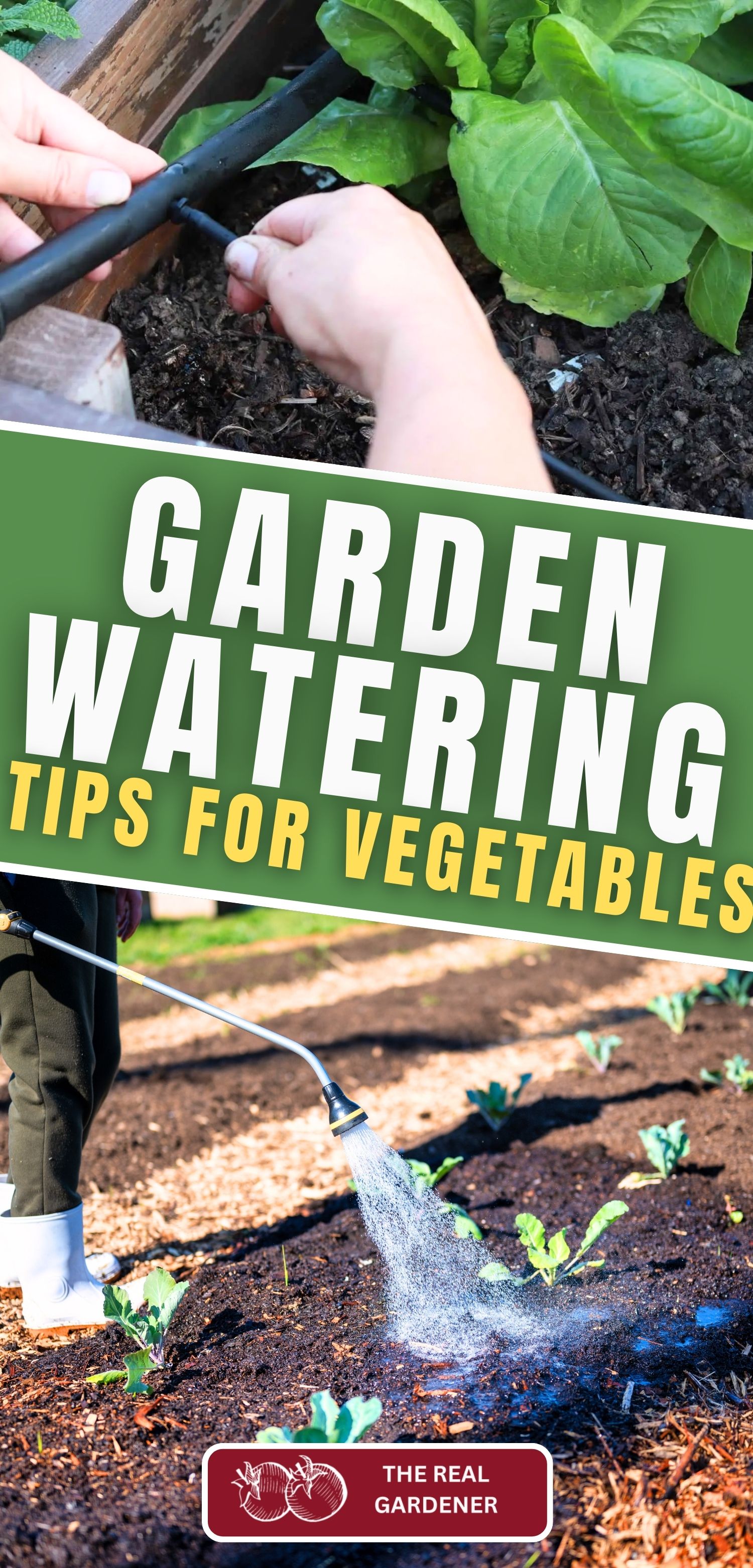 garden watering tips for vegetables