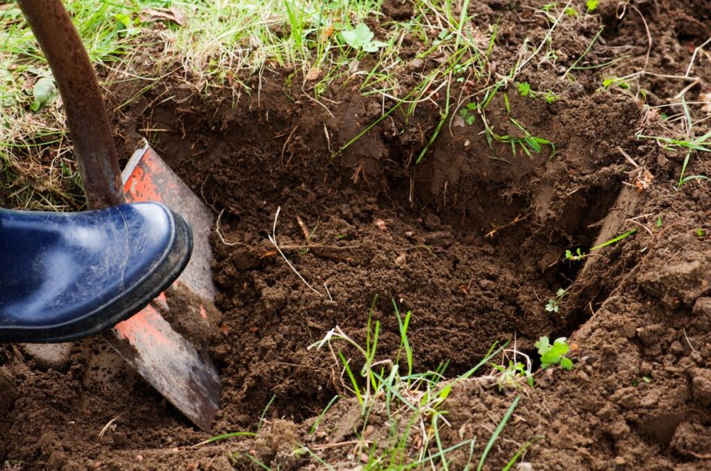 digging a hole for making biochar